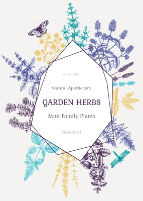Hand-sketched Mint plants card. Vector Mints and Balms frame design. Vintage summer herbs and flowers hand drawings background.  Herbal tea template. Botanical illustration.